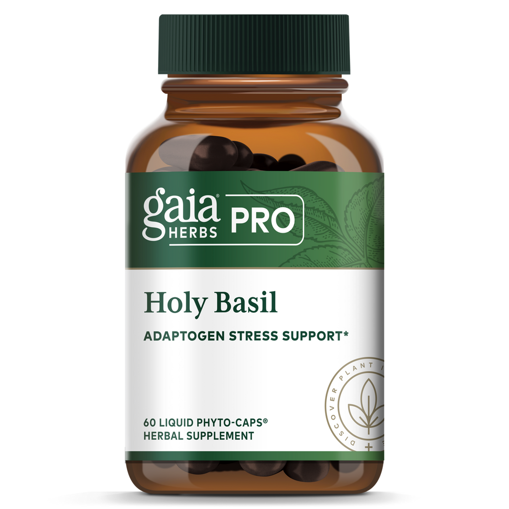 Holy Basil