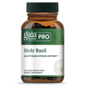 Holy Basil