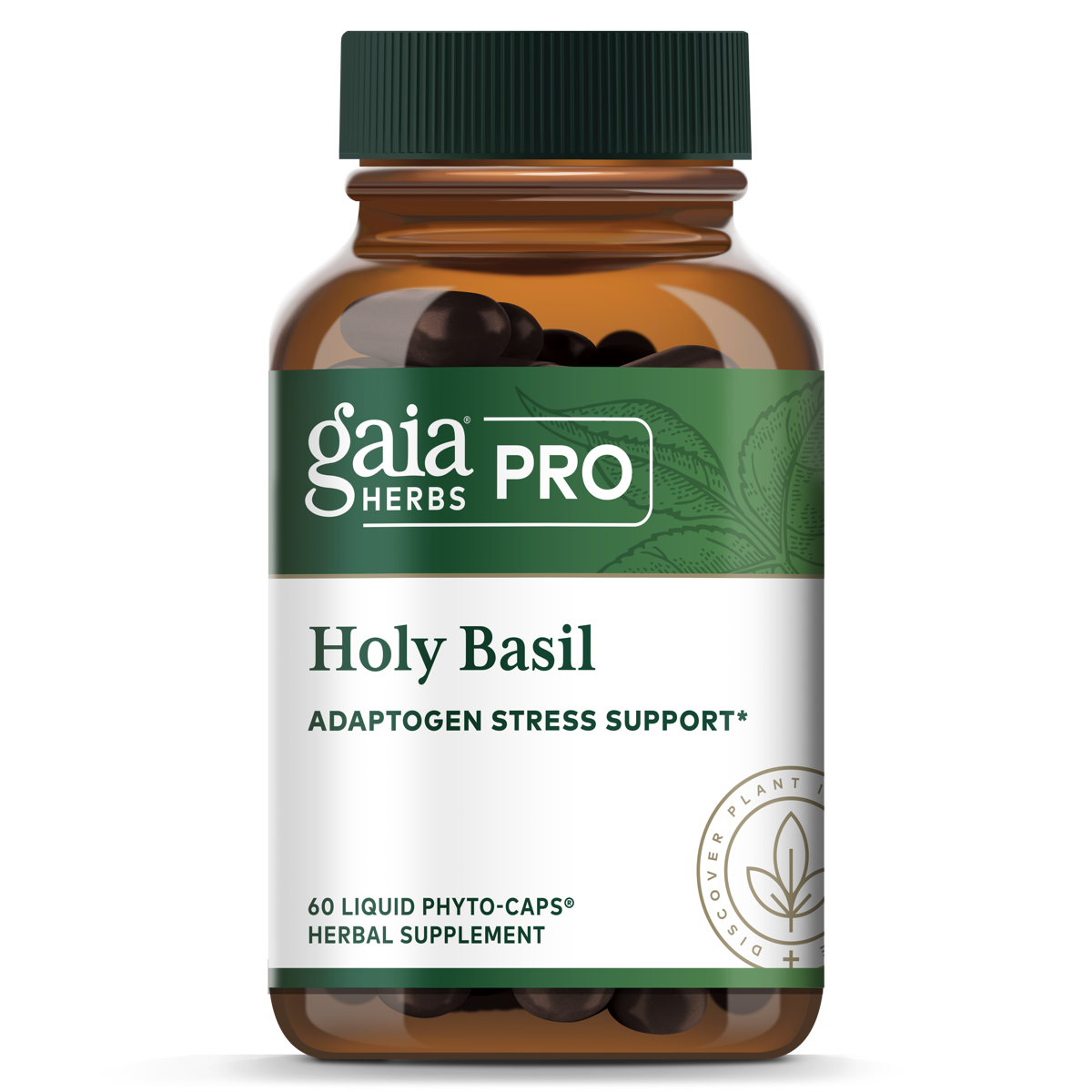 Holy Basil