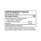 Quercetin Complex